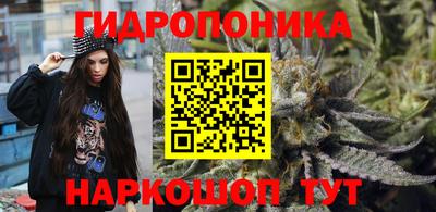 spice Волгодонск