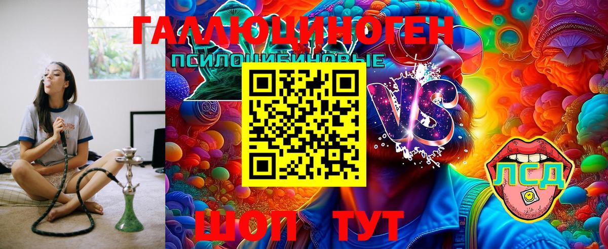 Псилоцибиновые грибы Psilocybe  Вход с VPN  Гусиноозёрск 